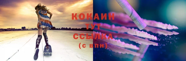 стафф Богородицк