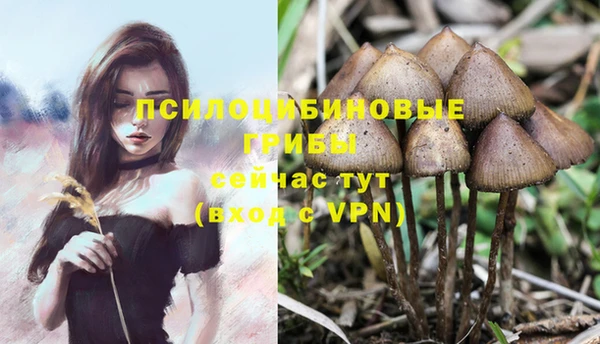 стафф Богородицк