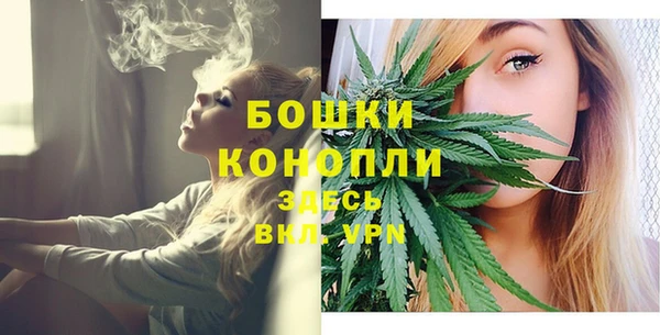 стафф Богородицк