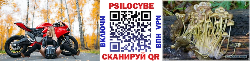 МЕГА ТОР  даркнет клад  Галлюциногенные грибы Psilocybe  Киренск 
